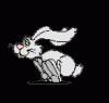 Animations - 030